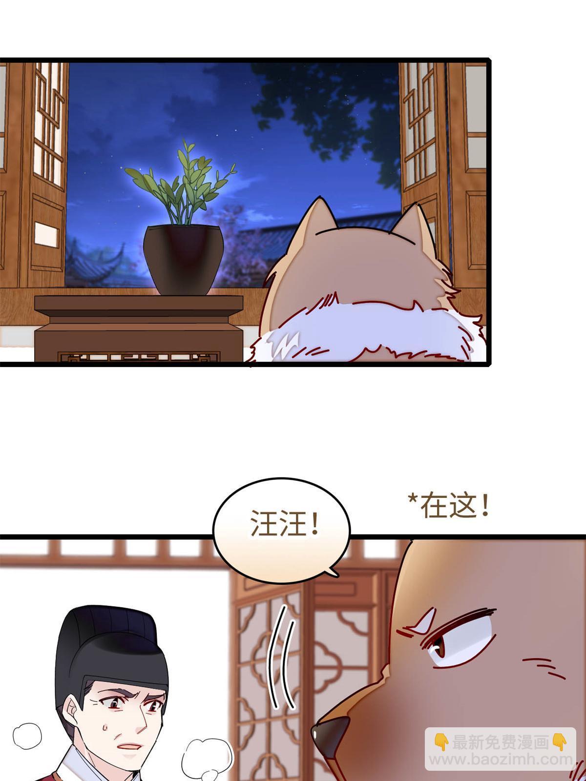 第257话 寻找偶人(1/2)-第260话