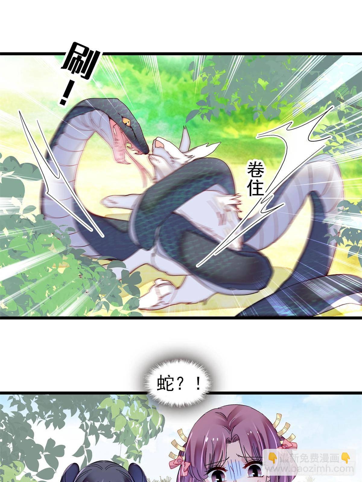 第393话 想要怎样的夫婿？(1/2)-第396话