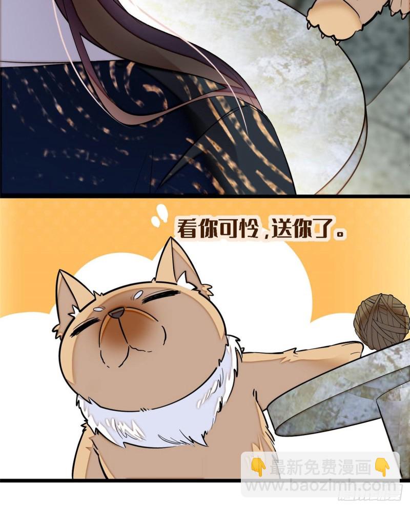 第85话 七皇子的状(1/2)-第88话