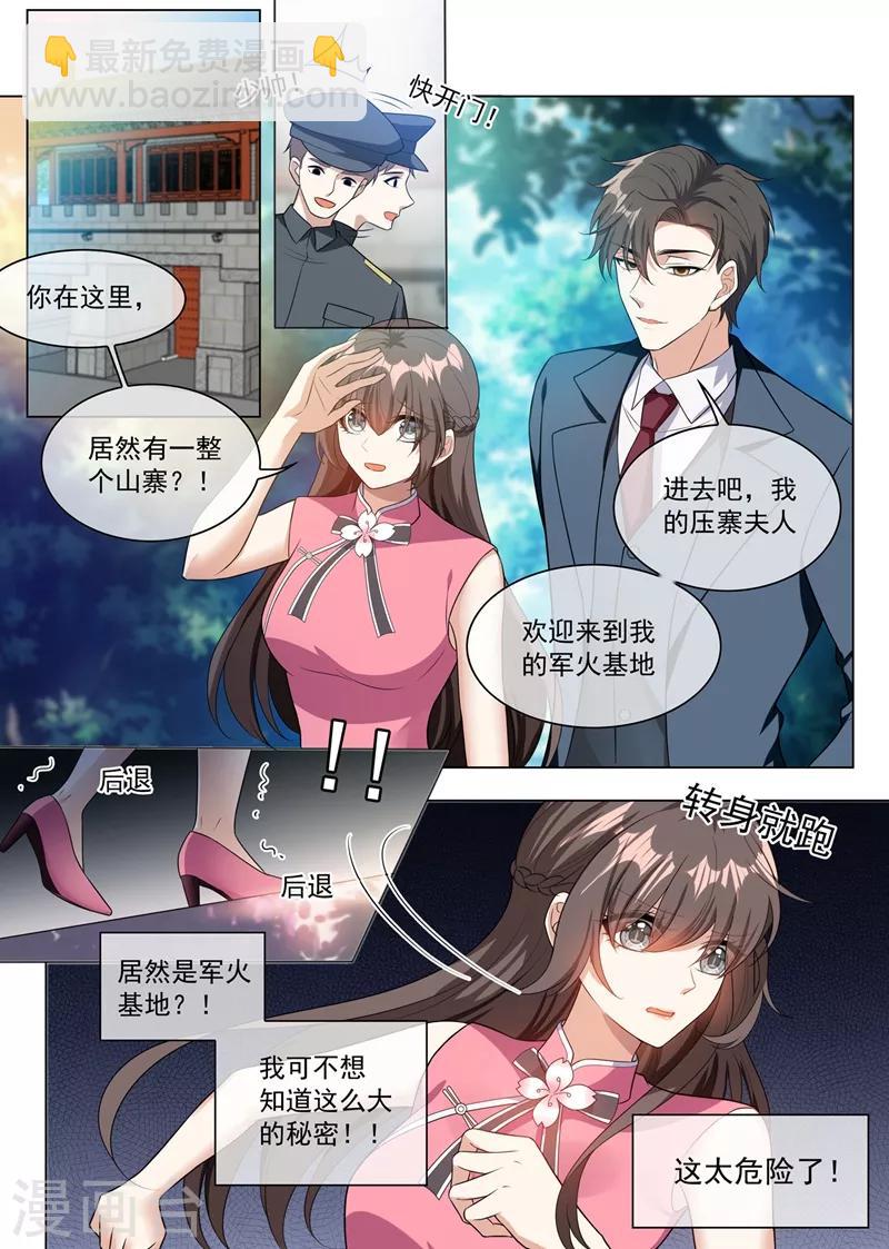 🍱司少你老婆又跑了 第246话 他的军火基地？ 第8页