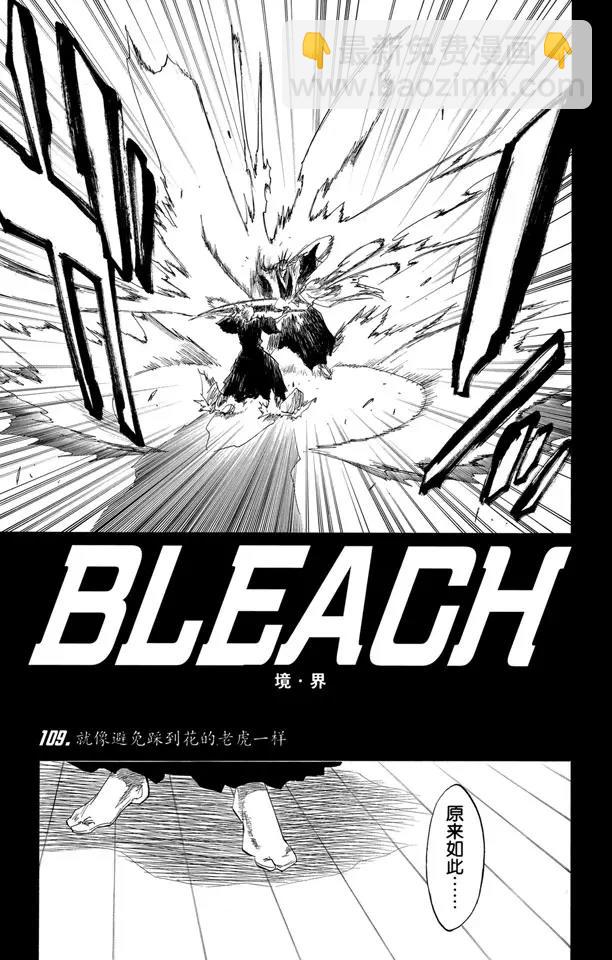 🍱死神/境·界【快】 第109话 就像避免踩到花的老虎一样 第5页