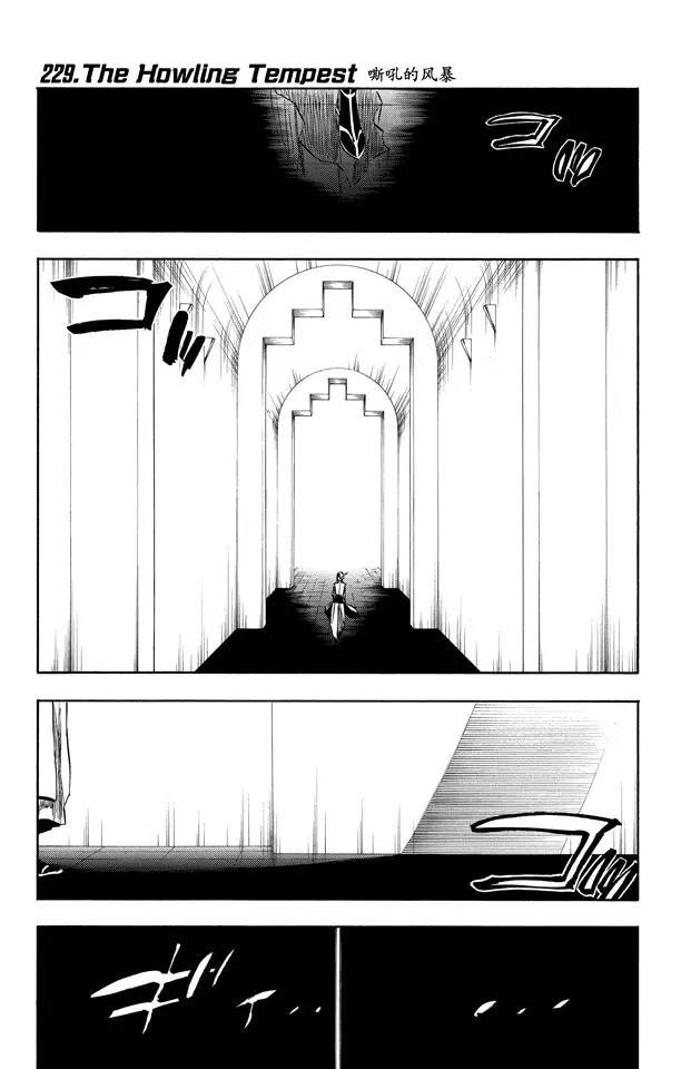 🍱死神/境·界【快】 第229话 嘶吼的风暴 第1页