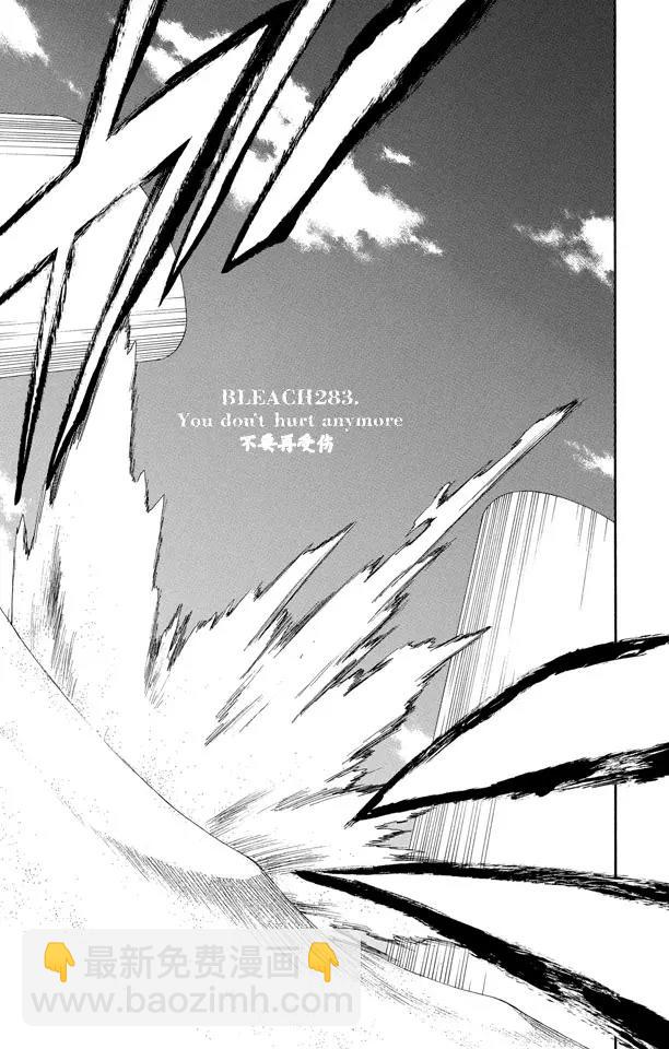 🍱死神/境·界【快】 第283话 你不要再受伤 第5页