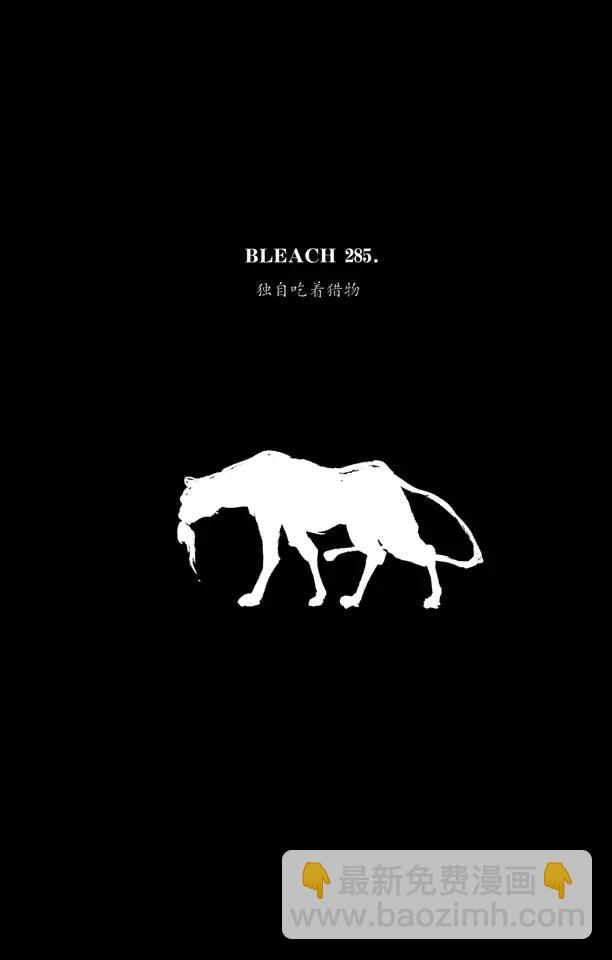 🍱死神/境·界【快】 第285话 独自吃着猎物 第4页