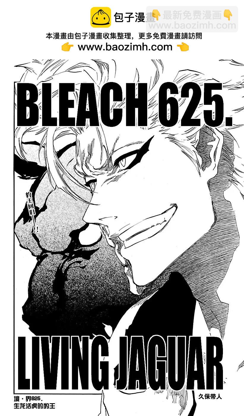 🍱死神/境·界【快】 第625话 生龙活虎的豹王 第2页
