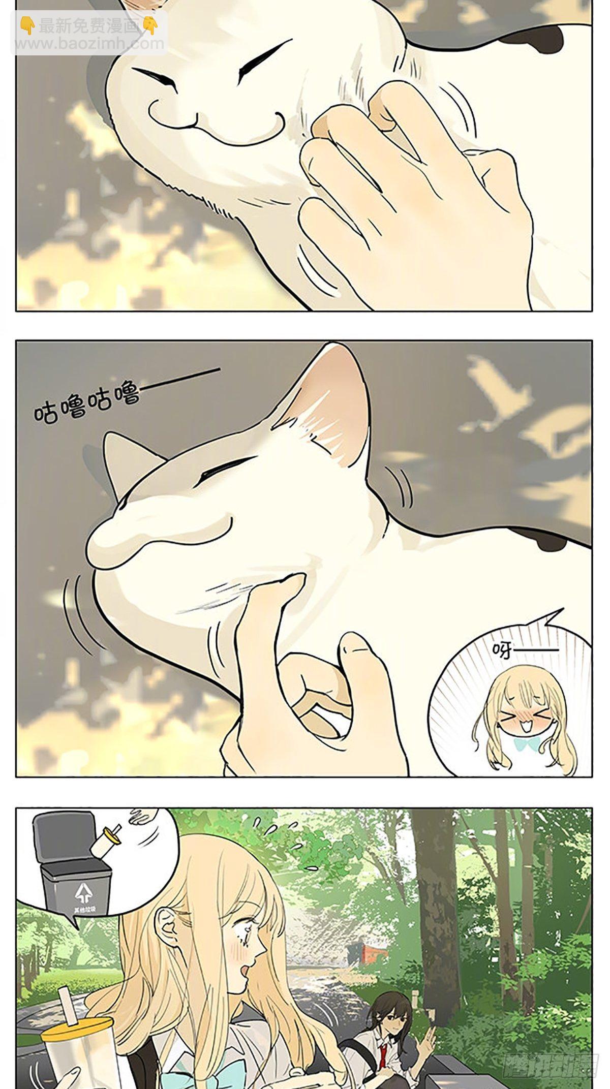 猫-第186话