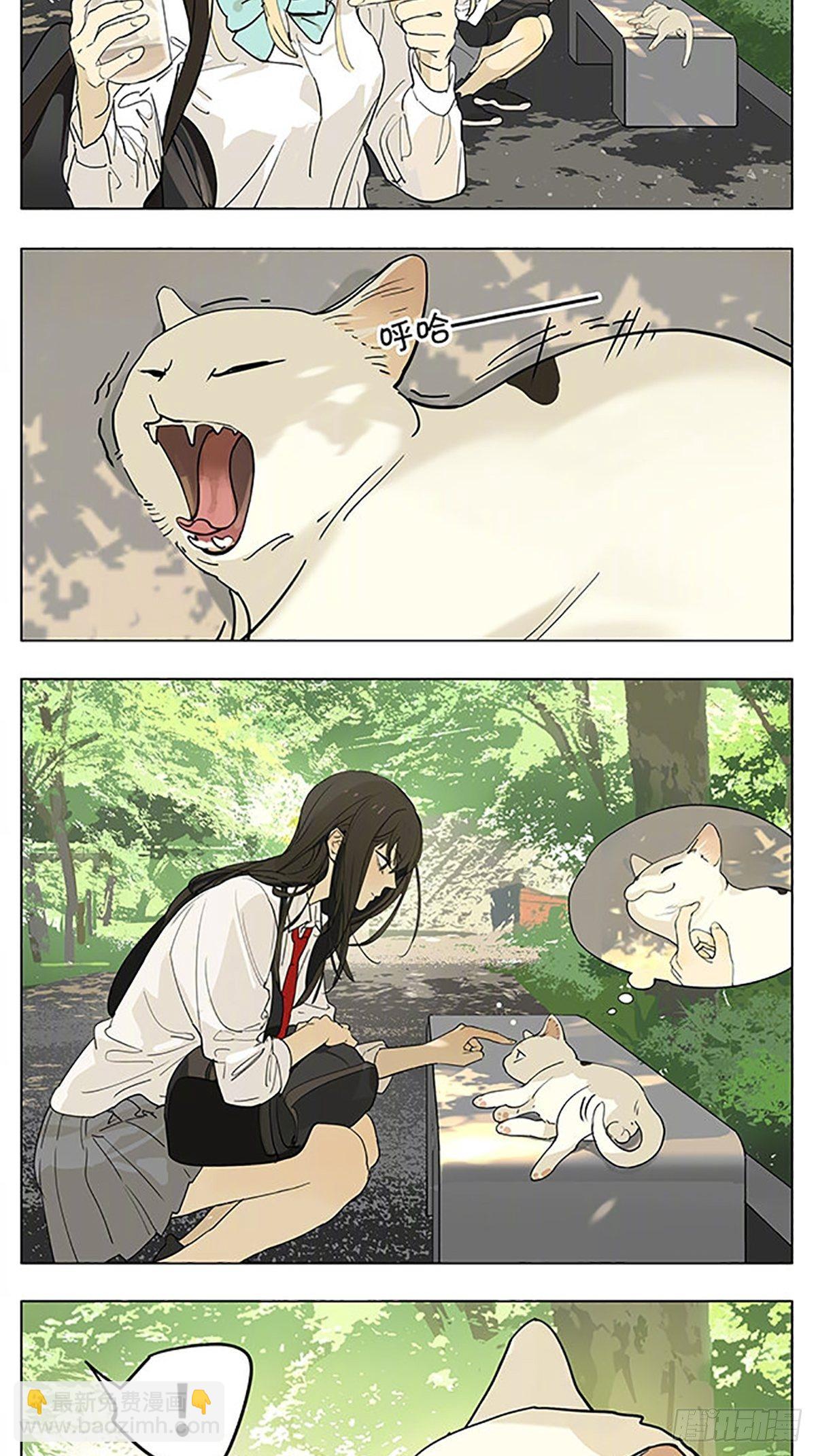 猫-第186话