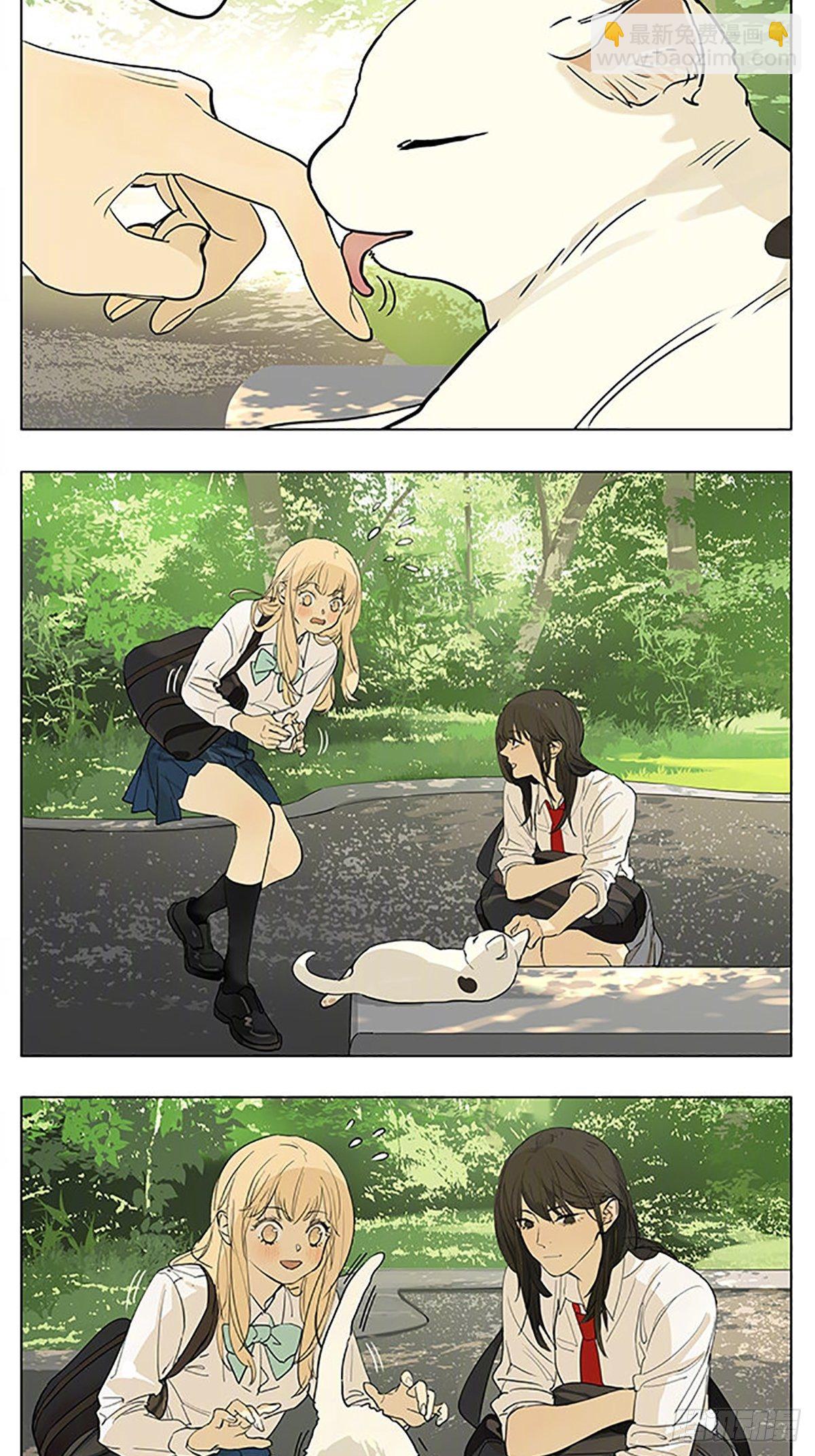 猫-第186话