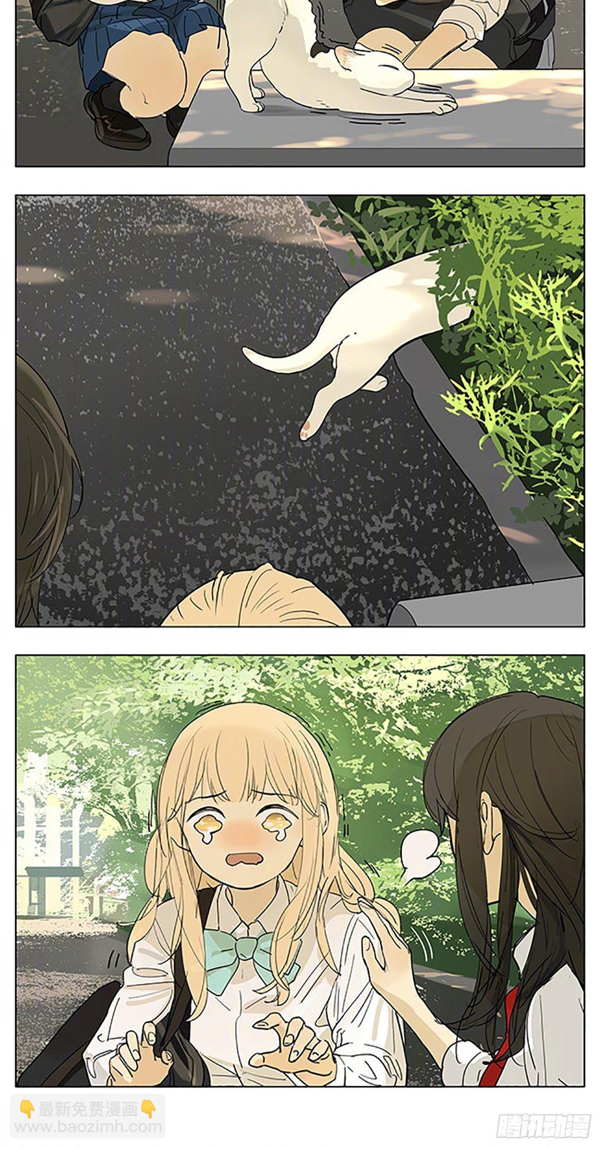猫-第186话