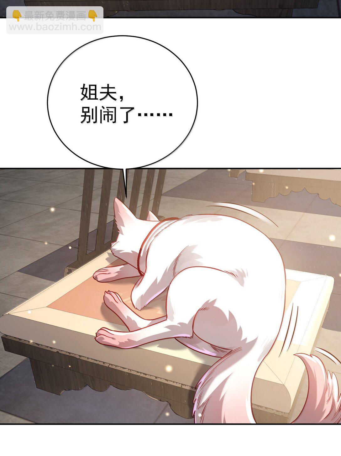 051 谁与狗不得入内？(1/2)-第52话