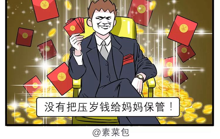 🍱素菜包 过完年还能剩钱的人是怎么办到的 第14页