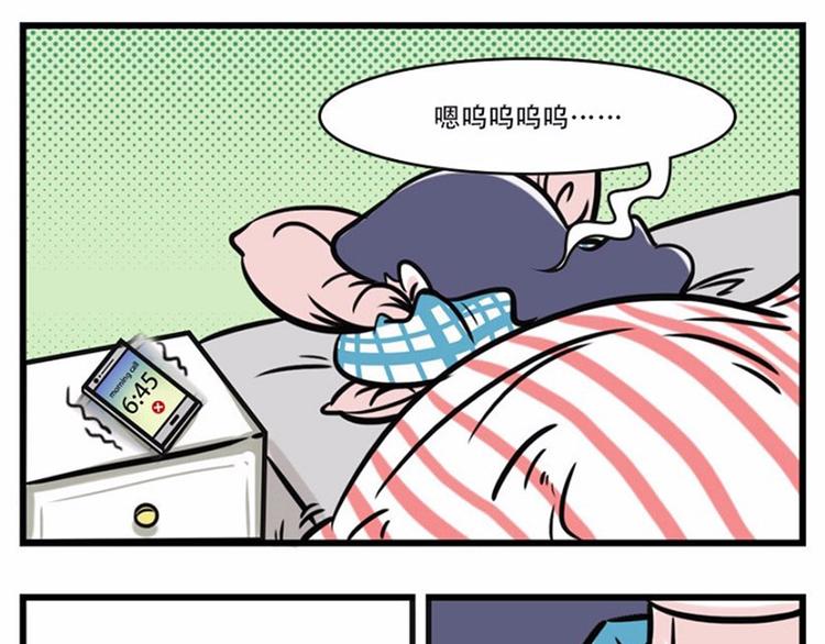 🍱素菜包 我可能只是运气不太好 第1页