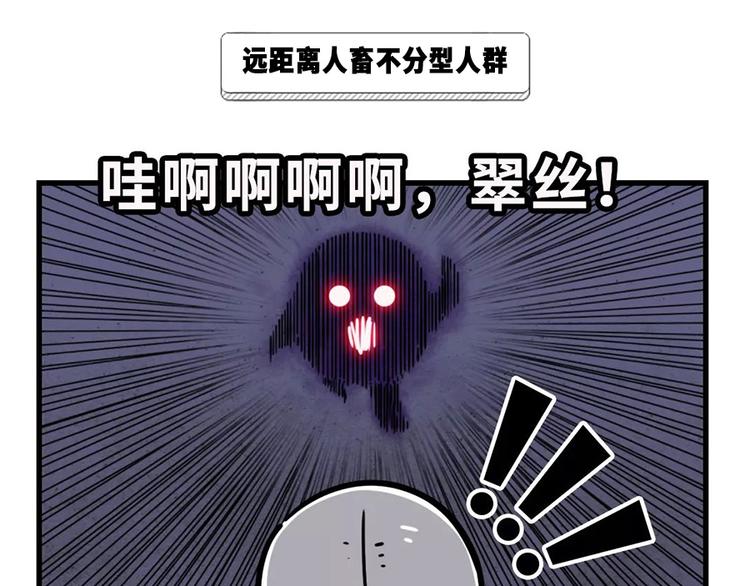 🍱素菜包 严重声明：我不是秃！是... 第16页