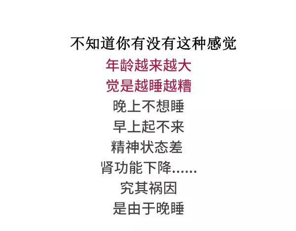 🍱素菜包 给我一个理由不熬夜 第1页