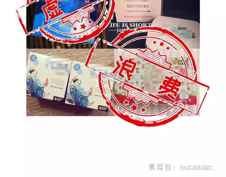 🍱素菜包 如何让你女票每个月只花500块 第11页