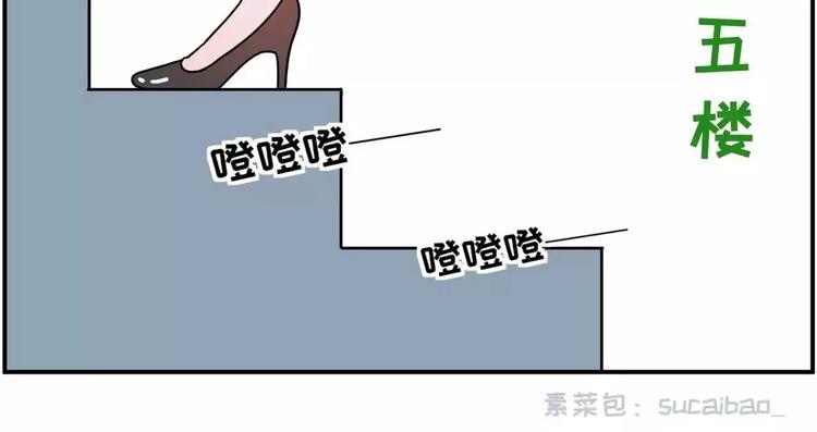 🍱素菜包 走过最长的路，是房屋中介的套路 第10页