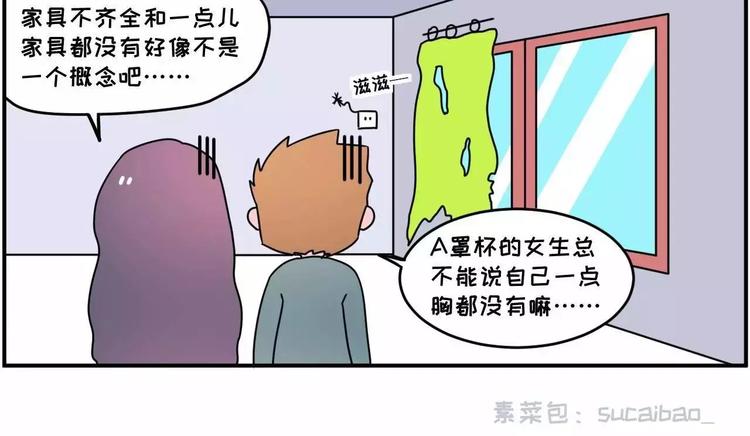 🍱素菜包 走过最长的路，是房屋中介的套路 第25页