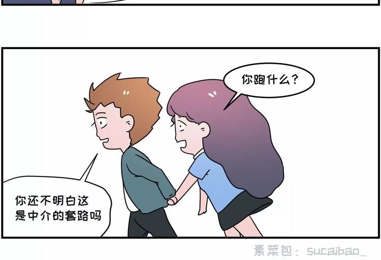 🍱素菜包 走过最长的路，是房屋中介的套路 第29页