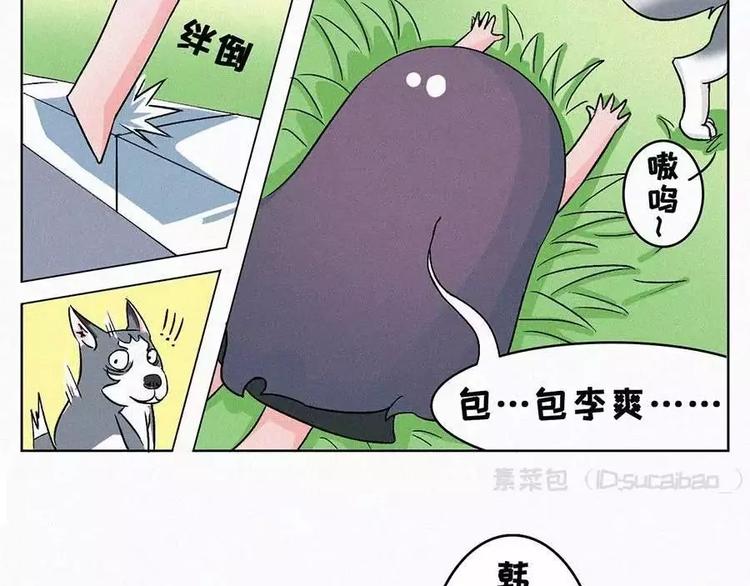🍱素菜包 男生已经成为女生大开杀戒的阻碍 第13页
