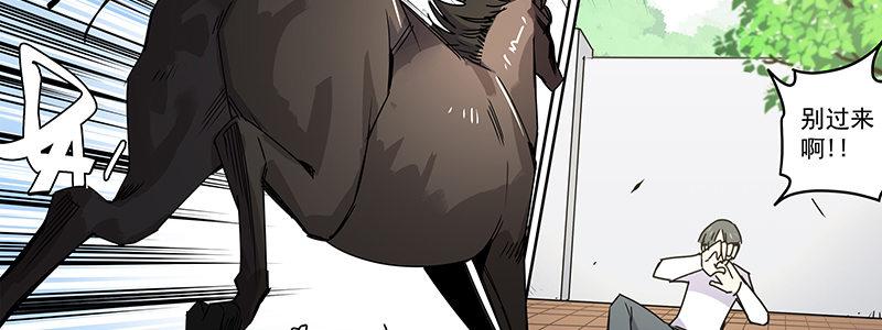 44-&ldquo;马&rdquo;路有马！（上）(1/2)-第44话