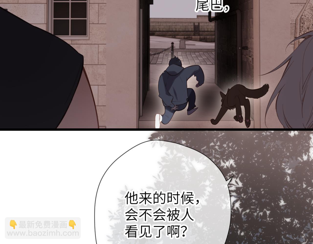 第31话  小动物(1/2)-第36话