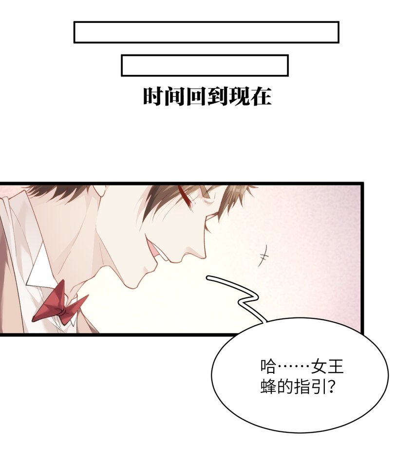 020 蜂王家的大守宫(1/2)-第24话