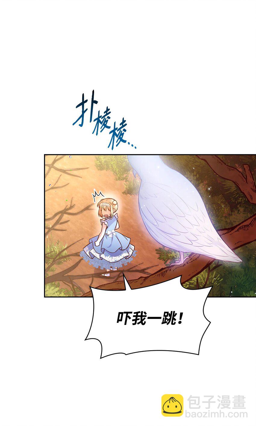 36 森林奇遇(1/2)-第36话