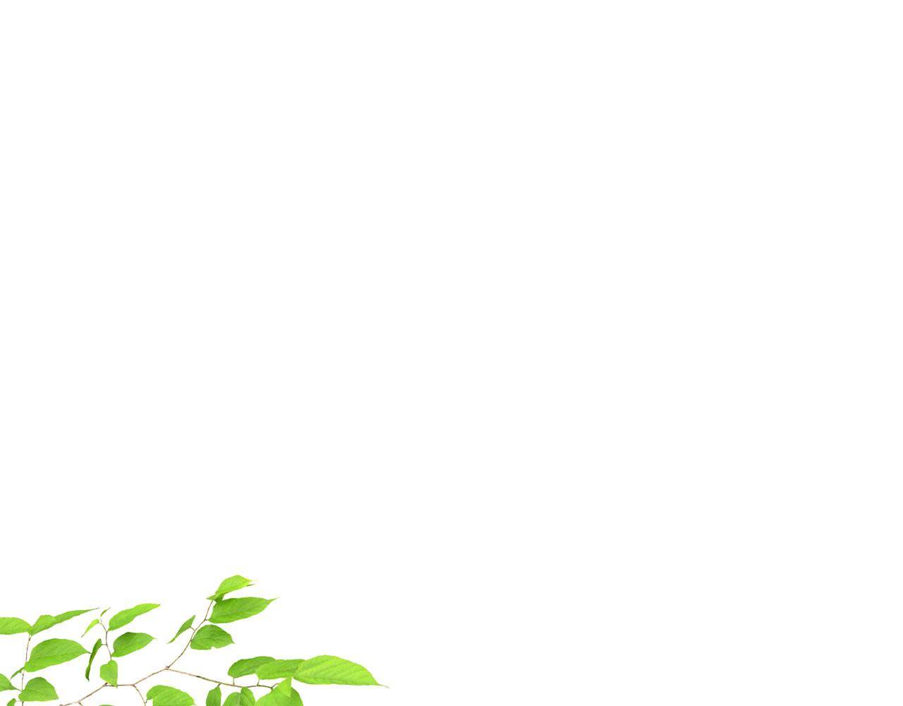 第35话 最大的赌注(1/4)-第36话