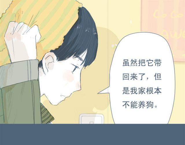 第7+8话 两个人一起养狗培养感情(1/2)-第6话