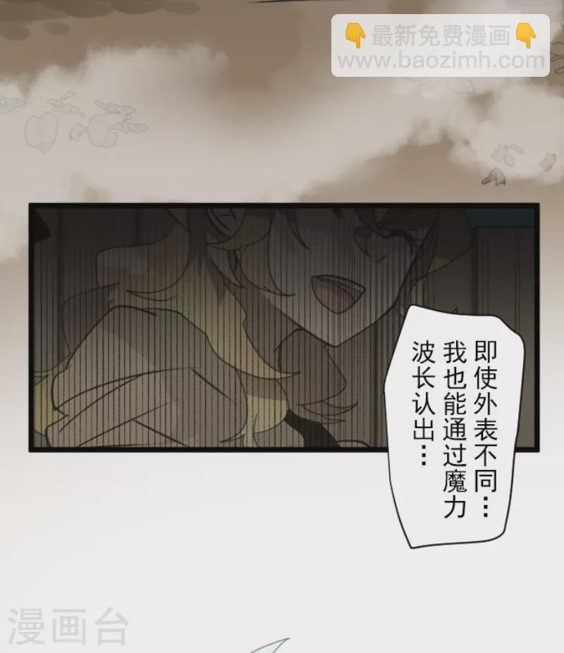 第243话 阿尔坎珠的真实(1/2)-第244话