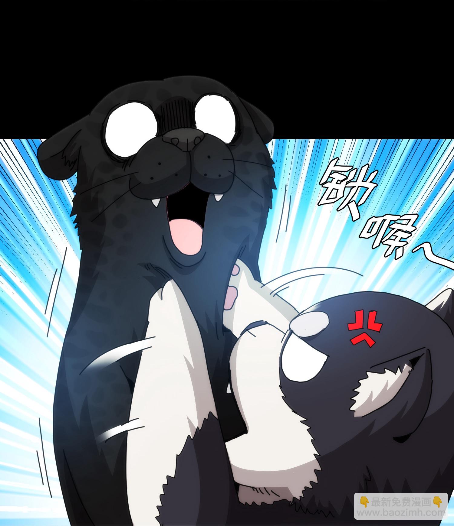 第77话-第78话