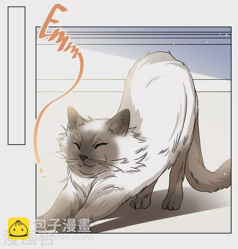 第233话 意外突降2-第240话