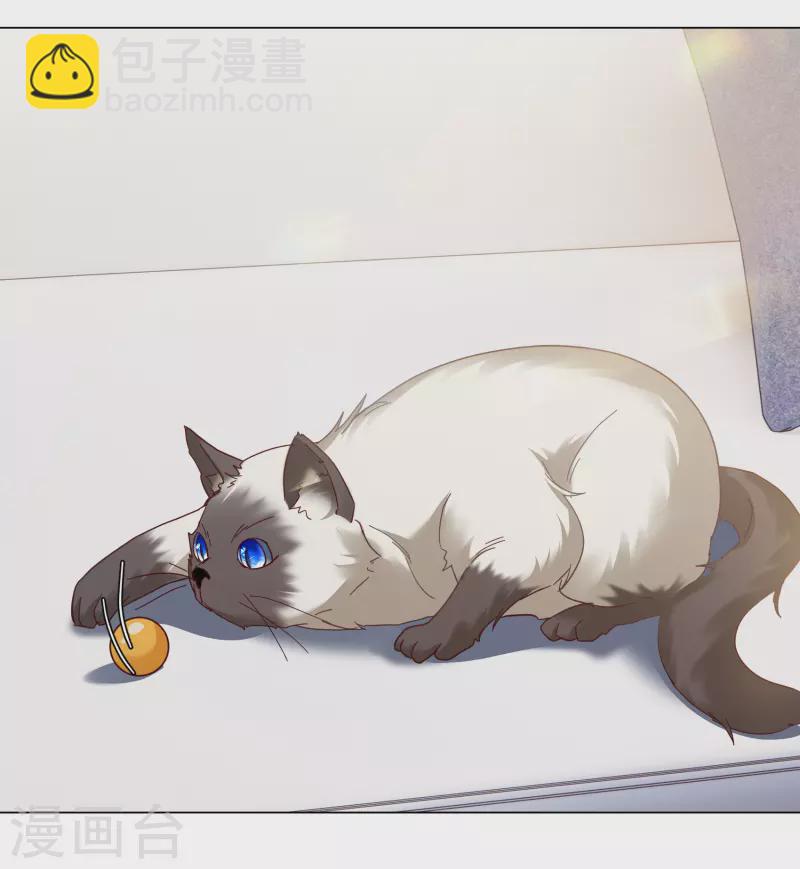 第272话 公主的替身3-第280话