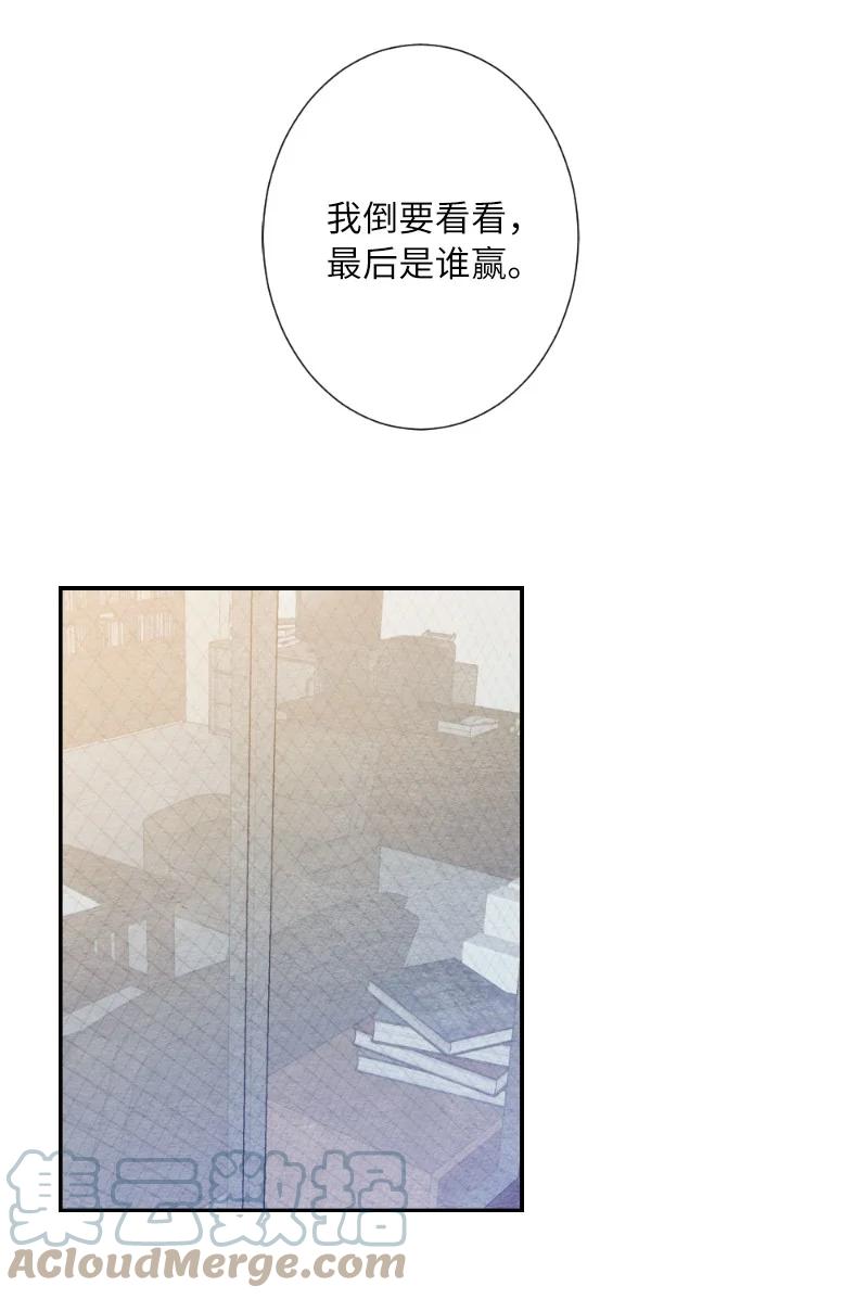 04 离婚吧(1/2)-第4话