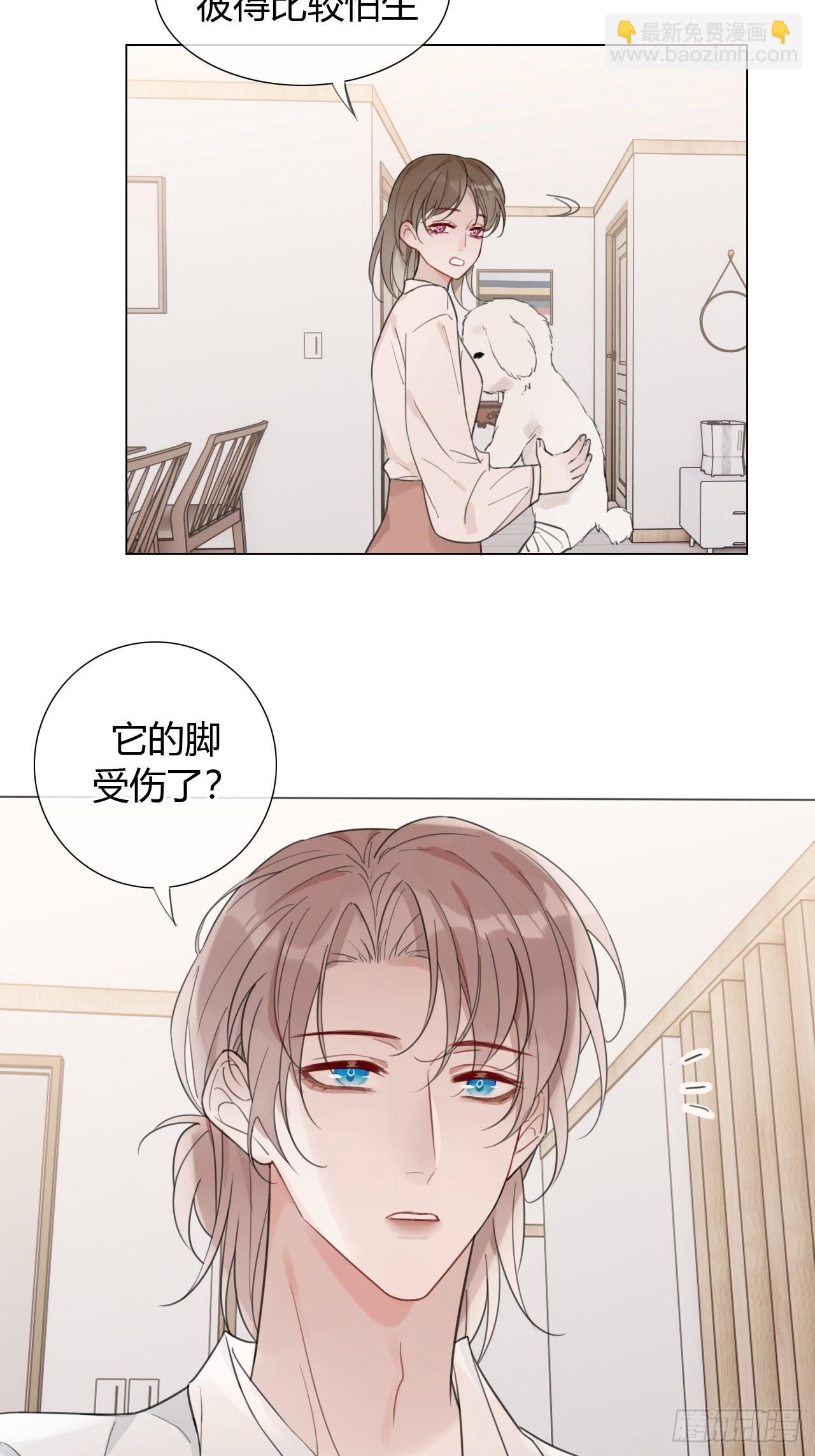 31 新的线索-第32话