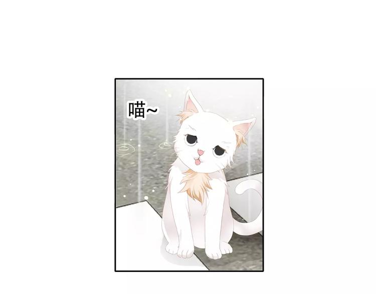 🍣淘宝原创漫画征集 札雅【精灵宝盒】 第1页
