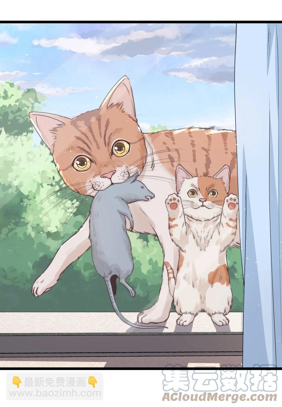 第14话 救猫咪(1/2)-第14话