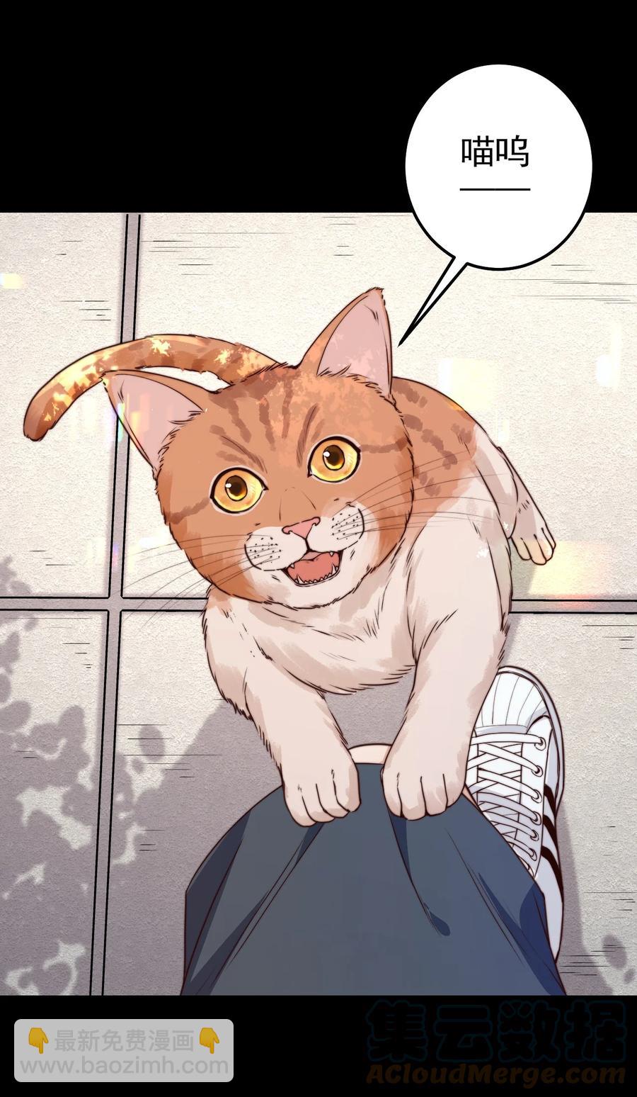 第14话 救猫咪(1/2)-第14话