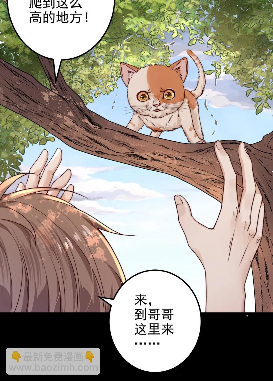 第14话 救猫咪(1/2)-第14话