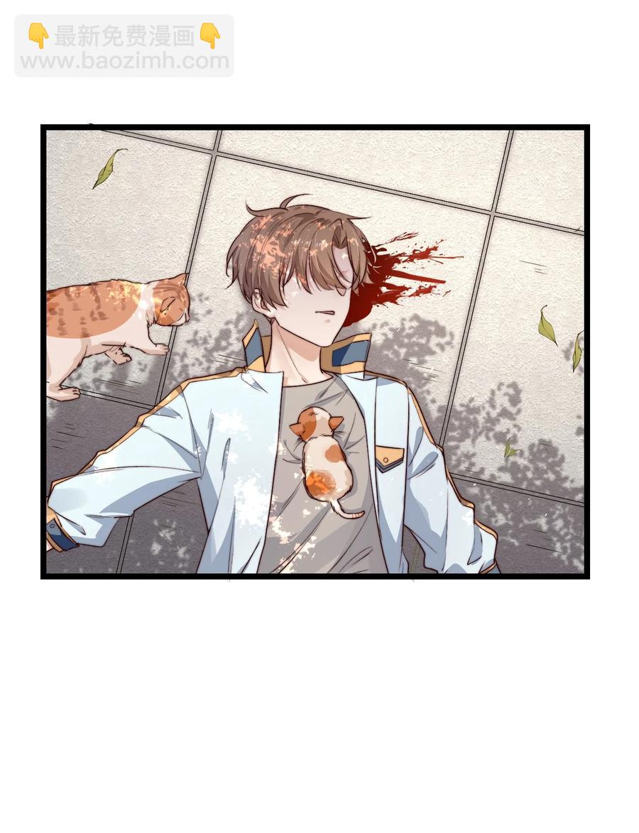 第14话 救猫咪(1/2)-第14话
