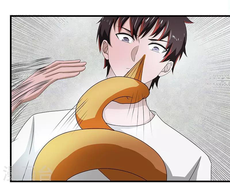 第2季第71话 暗送秋波-第100话