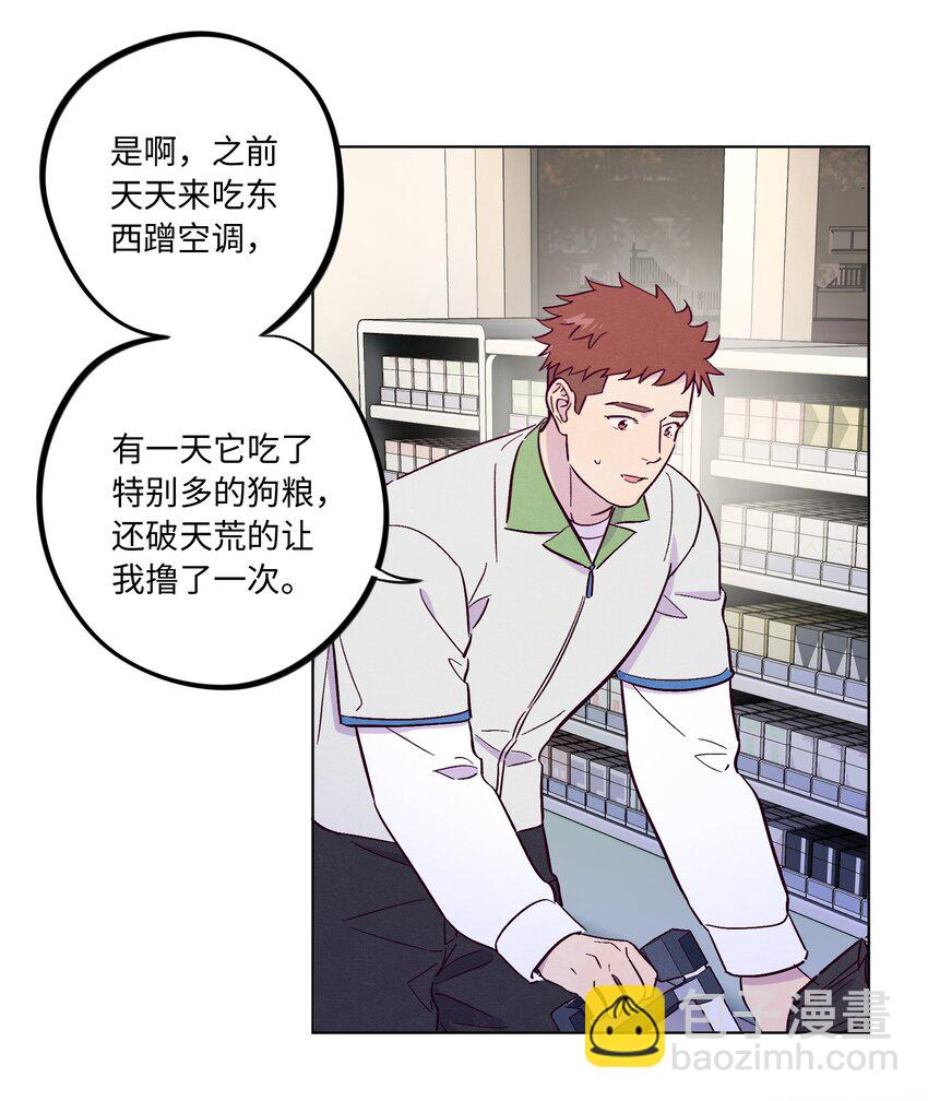 第52话 奇妙的缘分-第56话