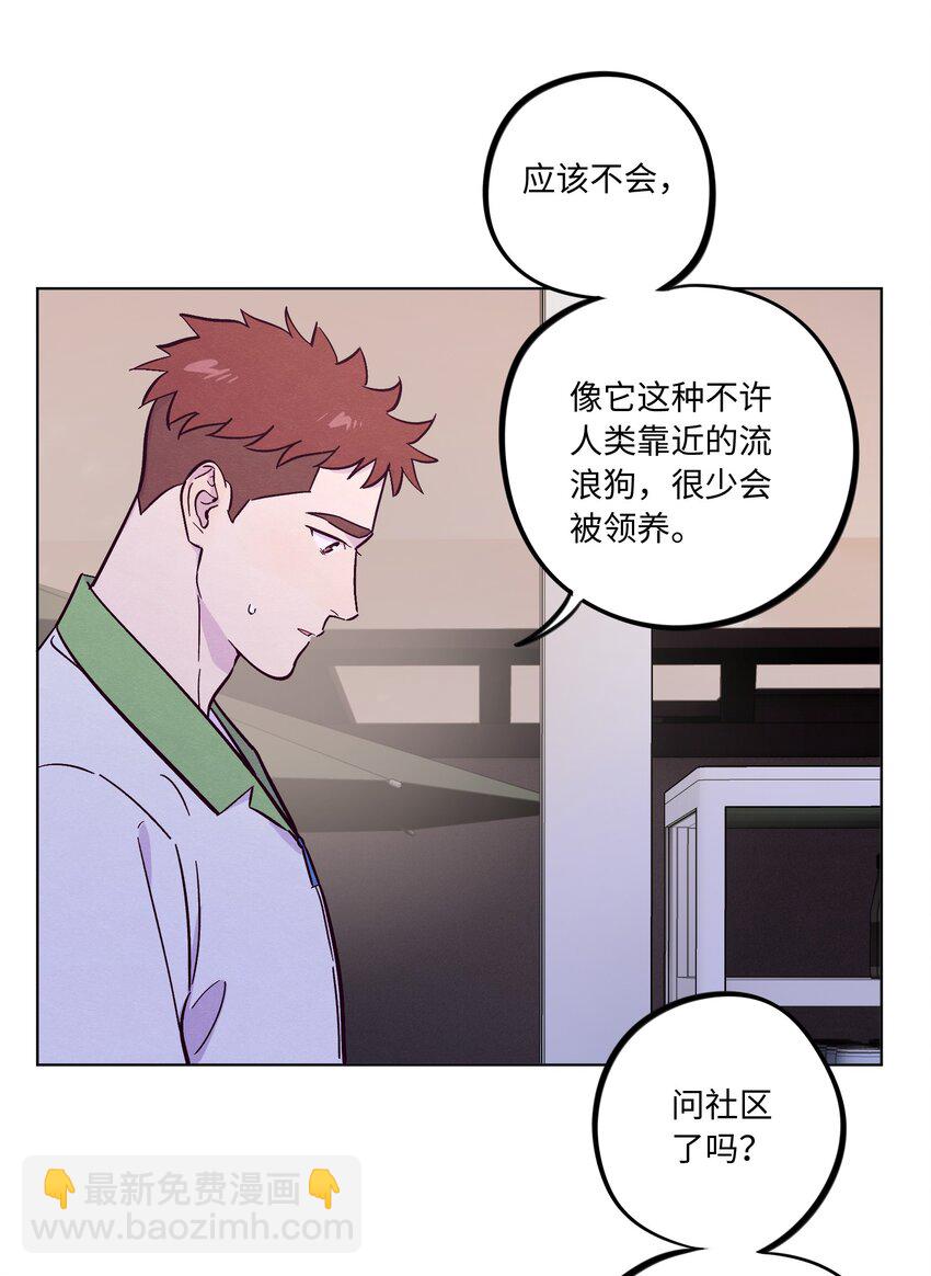 第52话 奇妙的缘分-第56话