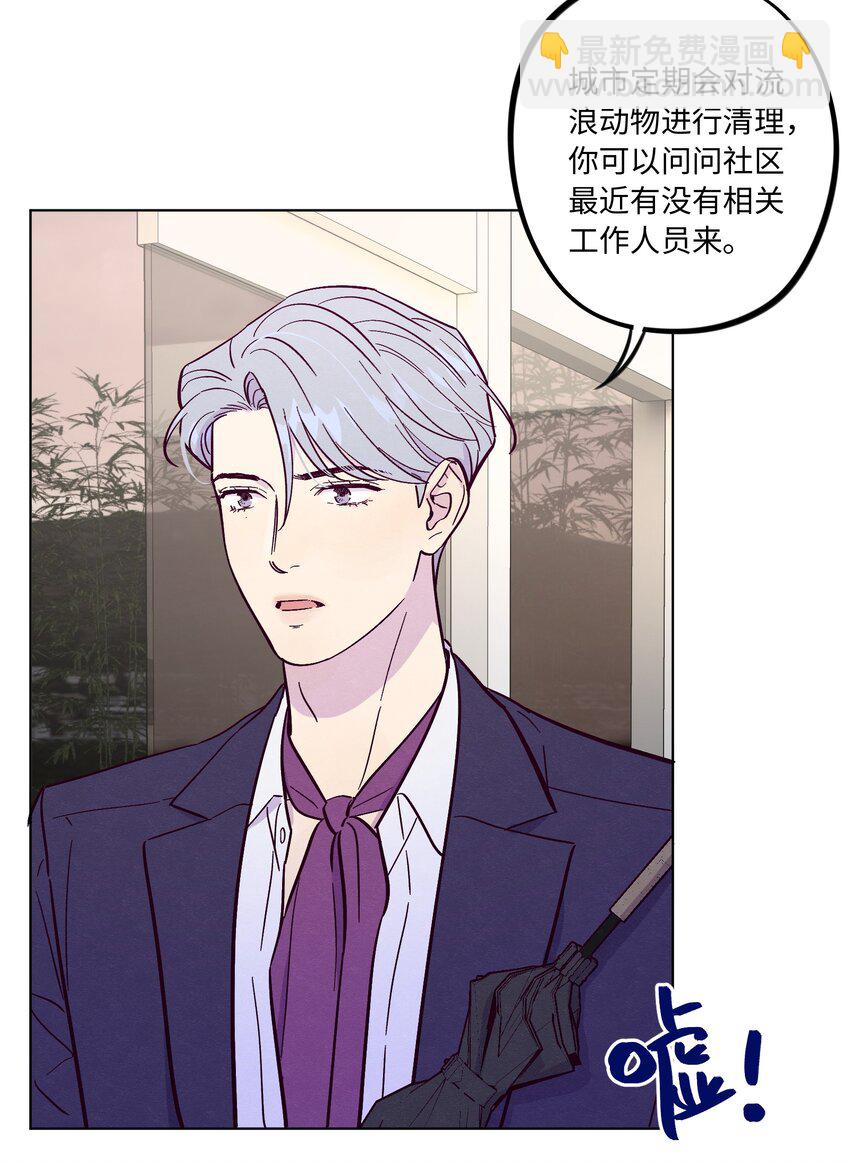第52话 奇妙的缘分-第56话