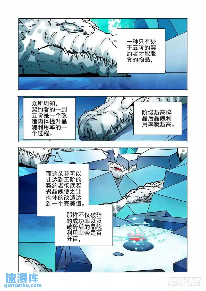 🍣塔奇 绝望深渊篇33：完美碎晶之花 第15页