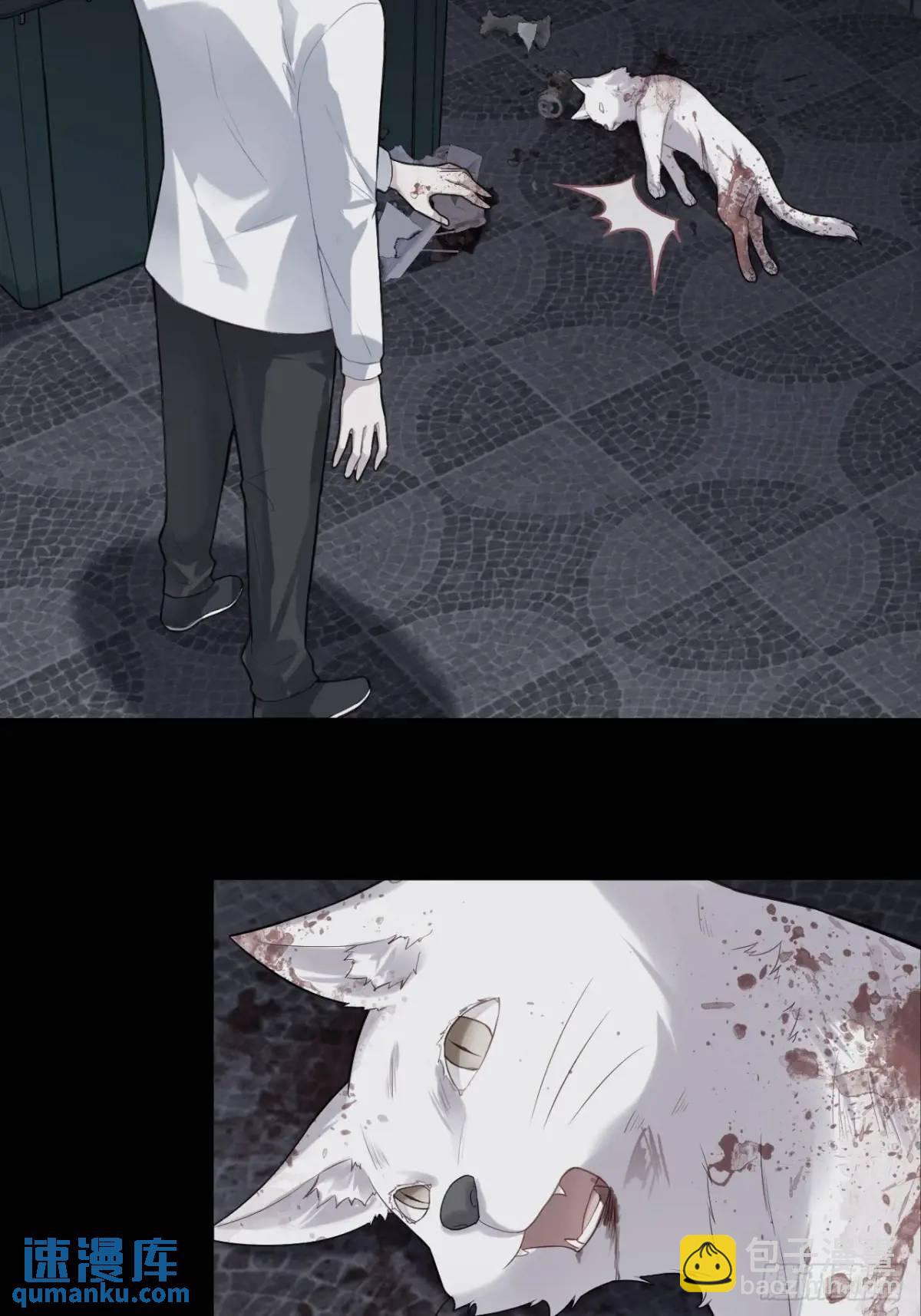 医院诡话：19、蛆虫的新生-第38话