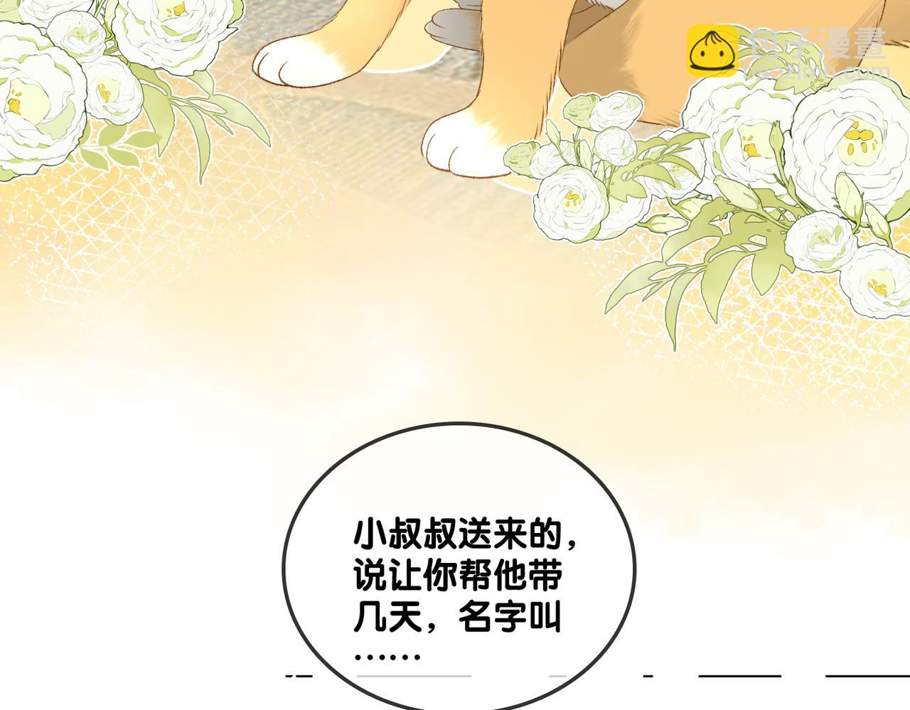 第63话 猫狗双全(1/3)-第100话