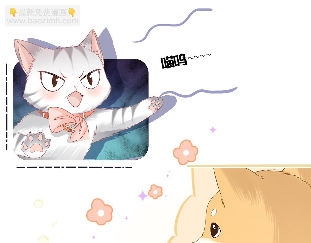第63话 猫狗双全(1/3)-第100话