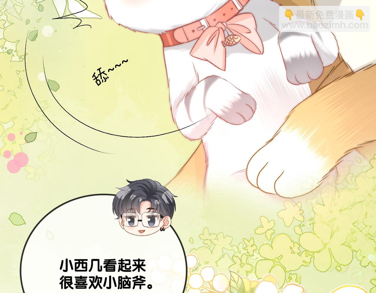 第63话 猫狗双全(1/3)-第100话