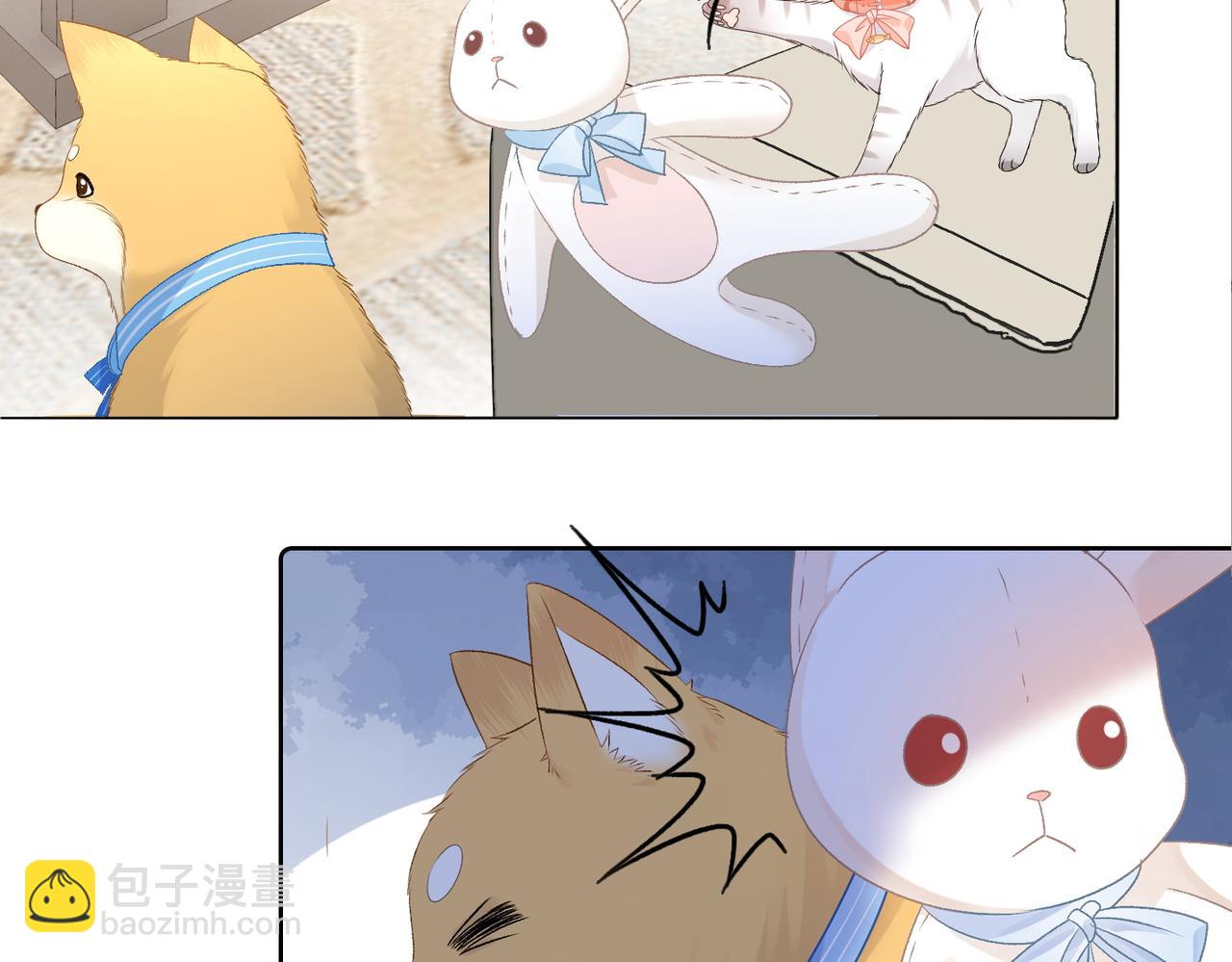 第63话 猫狗双全(1/3)-第100话